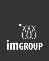 international motors finance